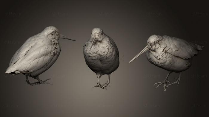 Статуэтки птицы Американский вальдшнеп
